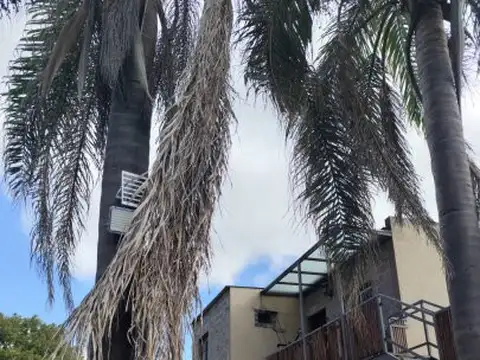 Complejo 10 departamentos en venta
