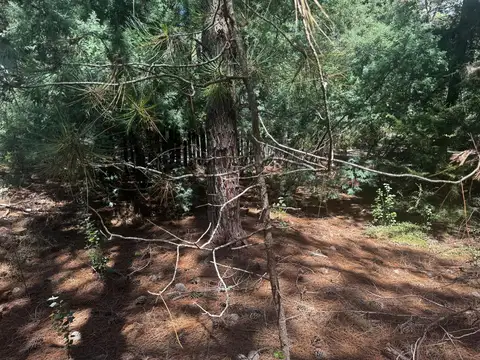 Cod 157 – Lote Carilo Ceibo y Urraca Oeste