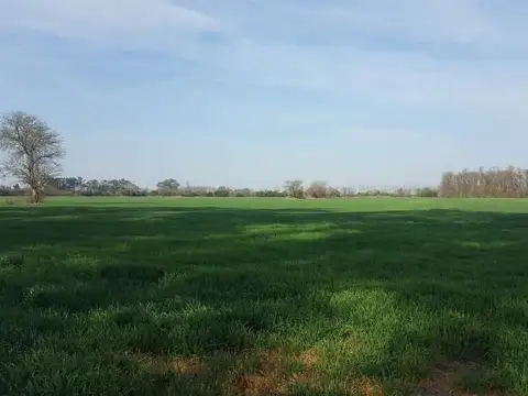 Camino de la ribera 100