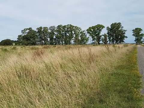 Camino de la ribera 100