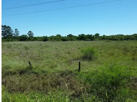Defensa Norte 100