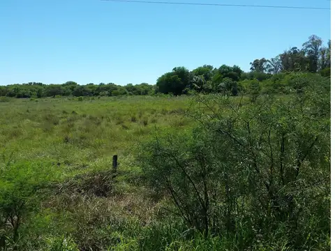 Defensa Norte 100