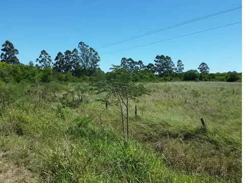 5 HECTAREAS EN ALQUILER - EN ESQUINA SOBRE DEFENSA NORTE