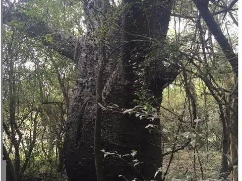 Campo en Alquiler de 5  ha