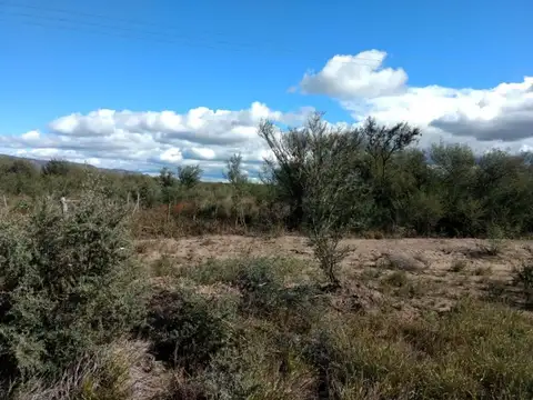 Campo en Venta de 276  ha