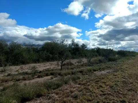 Ruta 20 1000