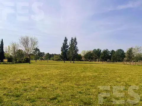 Terreno en Venta 50  mts Fondo