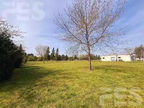 FINCAS DE SAN VICENTE GOLF