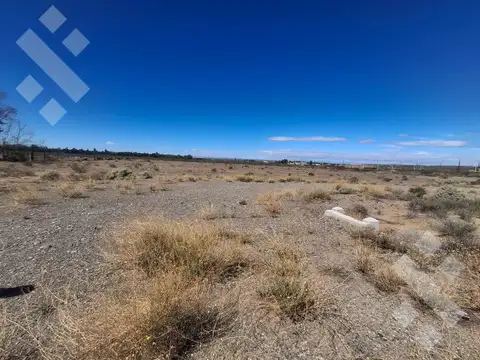 En Venta | 5 Hectareas Frente a Ruta 22 | Arroyito