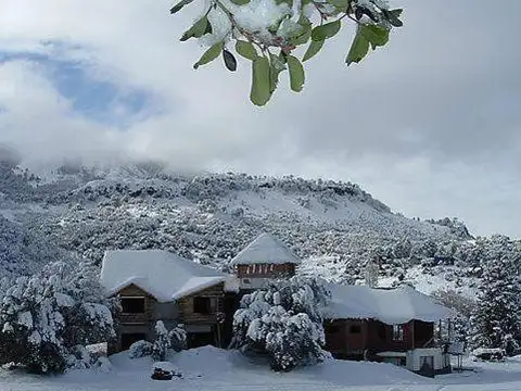 CONFIDENCIAL - CI32950