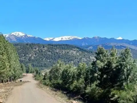 Ruta Nacional 40 2200
