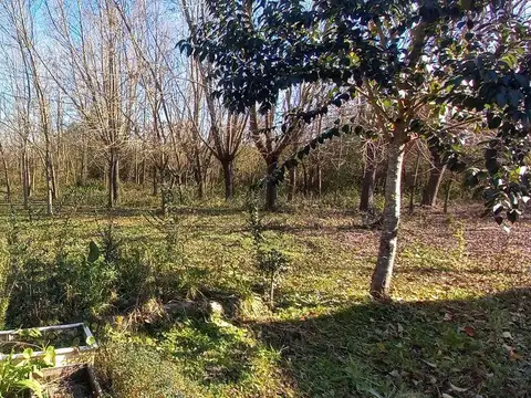 Rio / Arroyo Felicarias 100