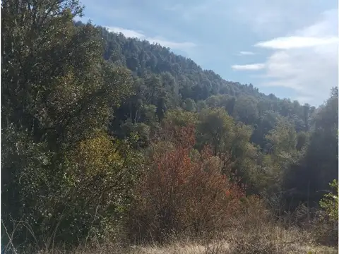 camino al paraiso