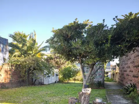 Excelente terreno con mejoras de 8,66mts x36 mts de fondo ,gran superficie libre ideal para proyecto
