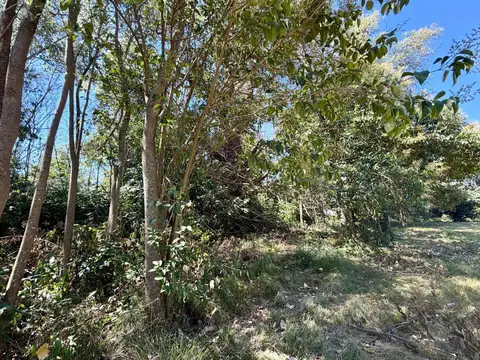 Terreno en Venta en Matheu, USD 26.000