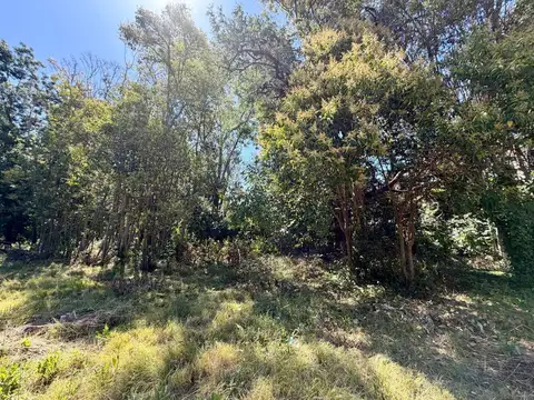 Terreno en Venta de 322,0 m2
