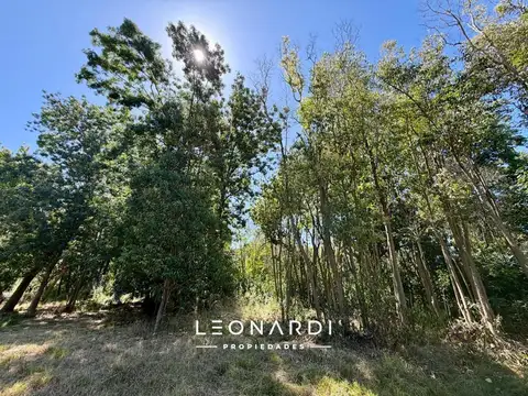Juan B Justo 1021 | Lote en venta | financiado | Matheu - ID 5928