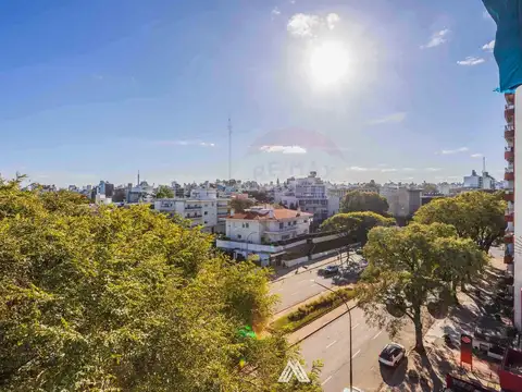 Bulevar General Artigas 900