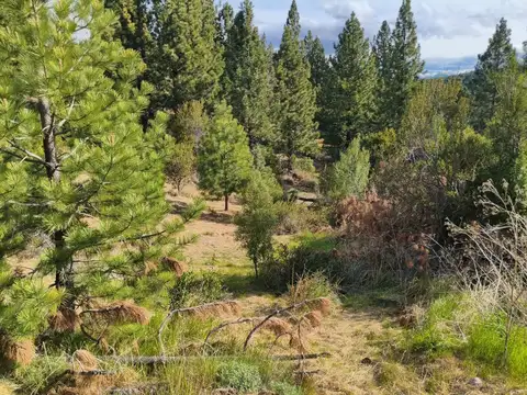 TERRENO EN ESQUEL (VILLA AYELEN)