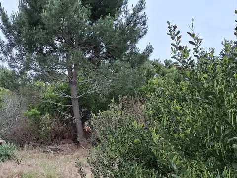 TERRENO EN VENTA -CENTRO DE GESELL- ACEPTAMOS VEHÍCULO EN PARTE DE PAGO-