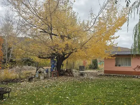 Casa Villa Llanquin sobre Rio Limay a 100 m balsa