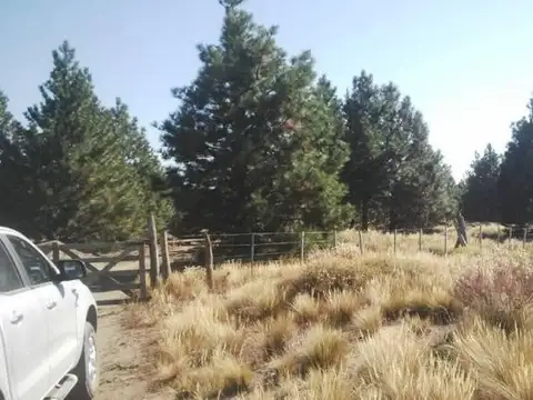 2 Hectáreas sobre rio Quilquihue