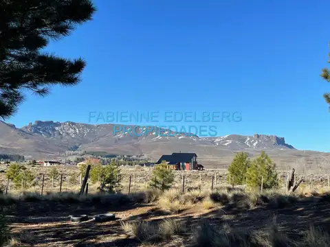 VENTA 2 HECTAREAS S/ RÍO QUILQUIHUE  SAN MARTIN DE LOS ANDES