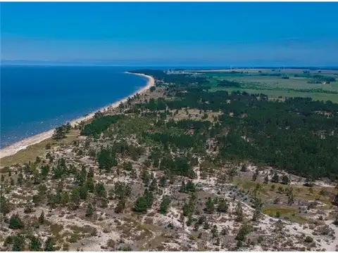 Campo en Venta de 190  ha