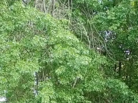 Terreno en Venta en La Lonja, USD 149.000