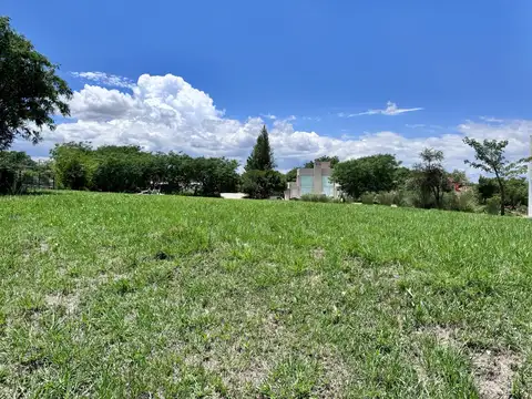 El Tipal Calle Payogasta