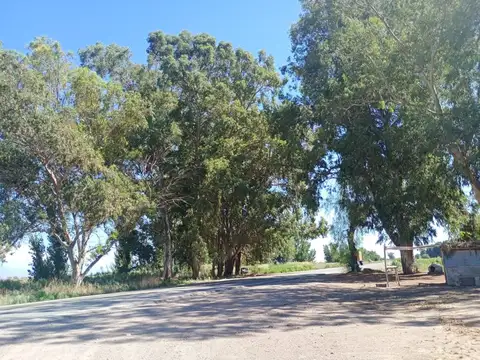 Ruta Nacional 40 Y SEGURA