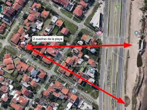 Alfonsina Storni 4400