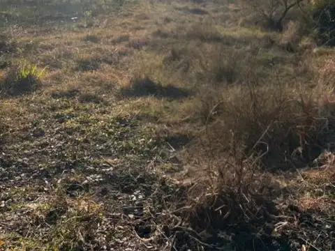 VENTA - Lote de 850 m2 en Correa, facil acceso a ruta N 9. Entrega y cuotas -Ideal inversión