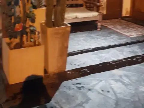 carlos pelegrini 300