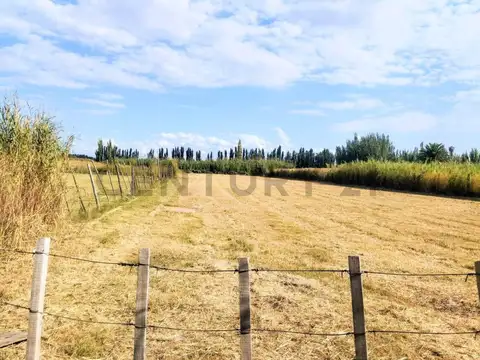 Terreno en Venta de 4978,0 m2