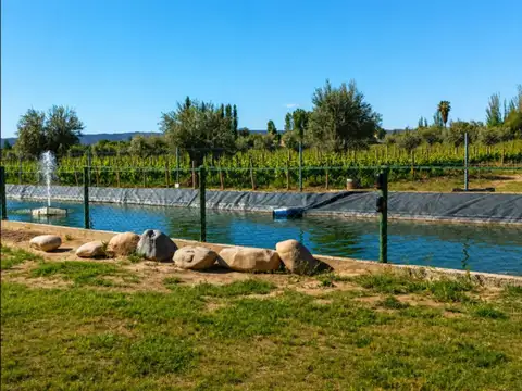 LOTE VENTA, BARRIO PRIVADO AYRES DE TERRADA, MAIPÚ