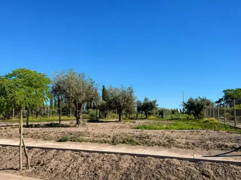 Terreno en Venta en Calle Terrada, USD 19.000