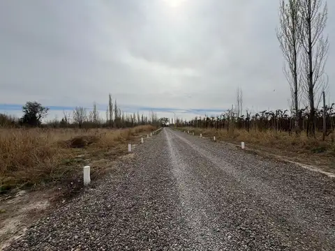 Terreno en Venta en Cervantes, USD 5.000