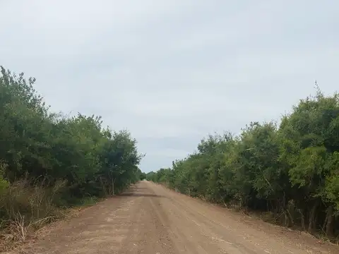 637 e 143 y 155