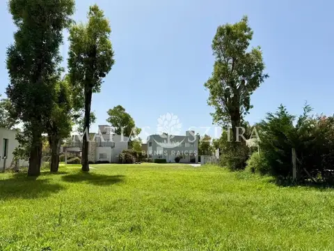 Alvarez del Bosque
