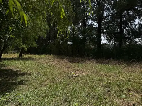 Terreno en Venta 13  mts Fondo