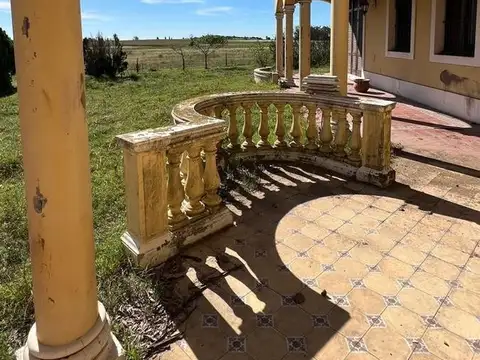 VENTA - HARAS  - 89 HECTAREAS - ARRECIFES