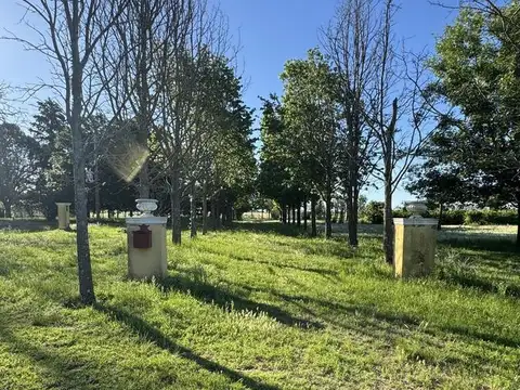 VENTA - HARAS  - 89 HECTAREAS - ARRECIFES