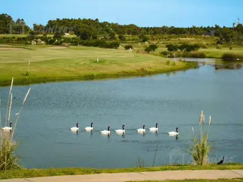 Terreno En Barrio Carmelo Golf En Venta - Uruguay, Carmelo