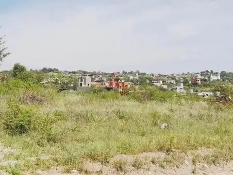 Los Geranios