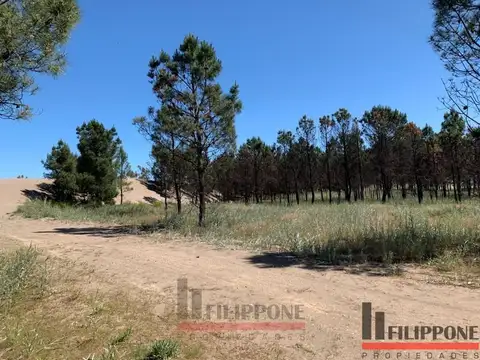 Terreno en venta de 684m2 ubicado a metros del mar en Balneario Pehuen Co