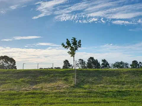 Terreno en Venta de 734,0 m2