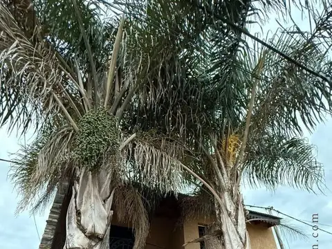 Espectacular casa dos plantas