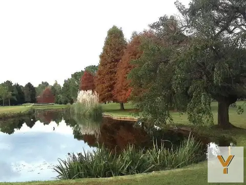 Terreno en Venta 40  mts Fondo