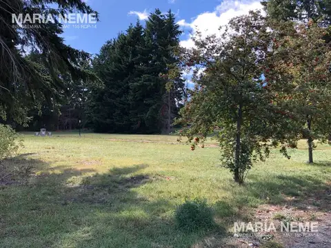 Terreno en Venta 41  mts Frente
